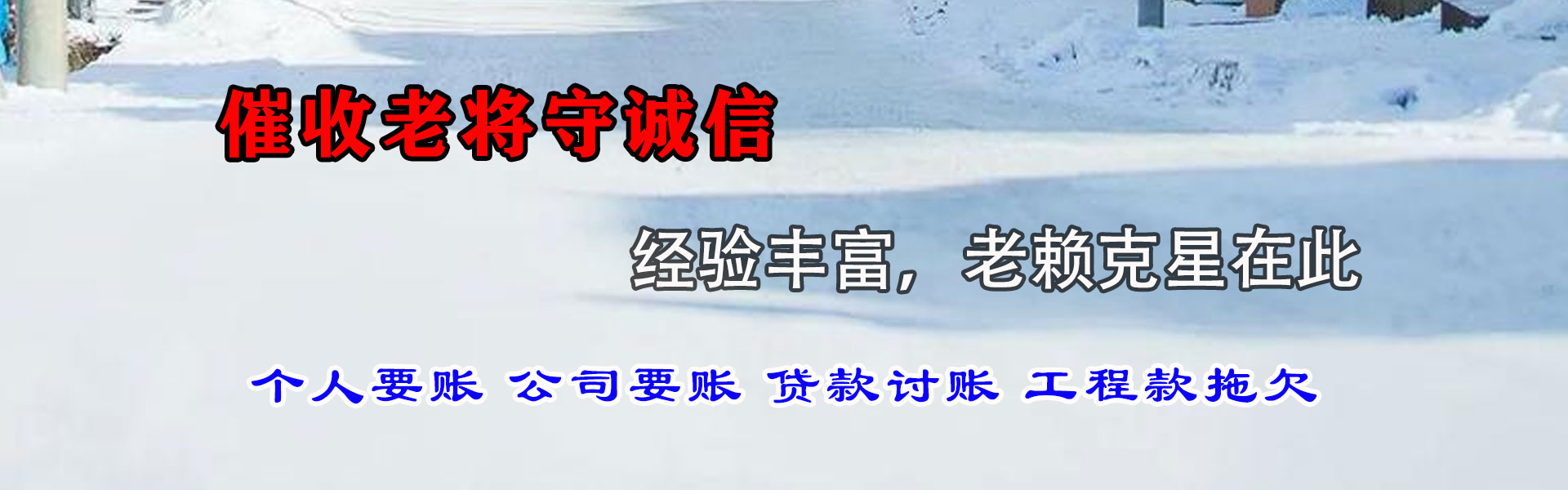 泰和要数公司